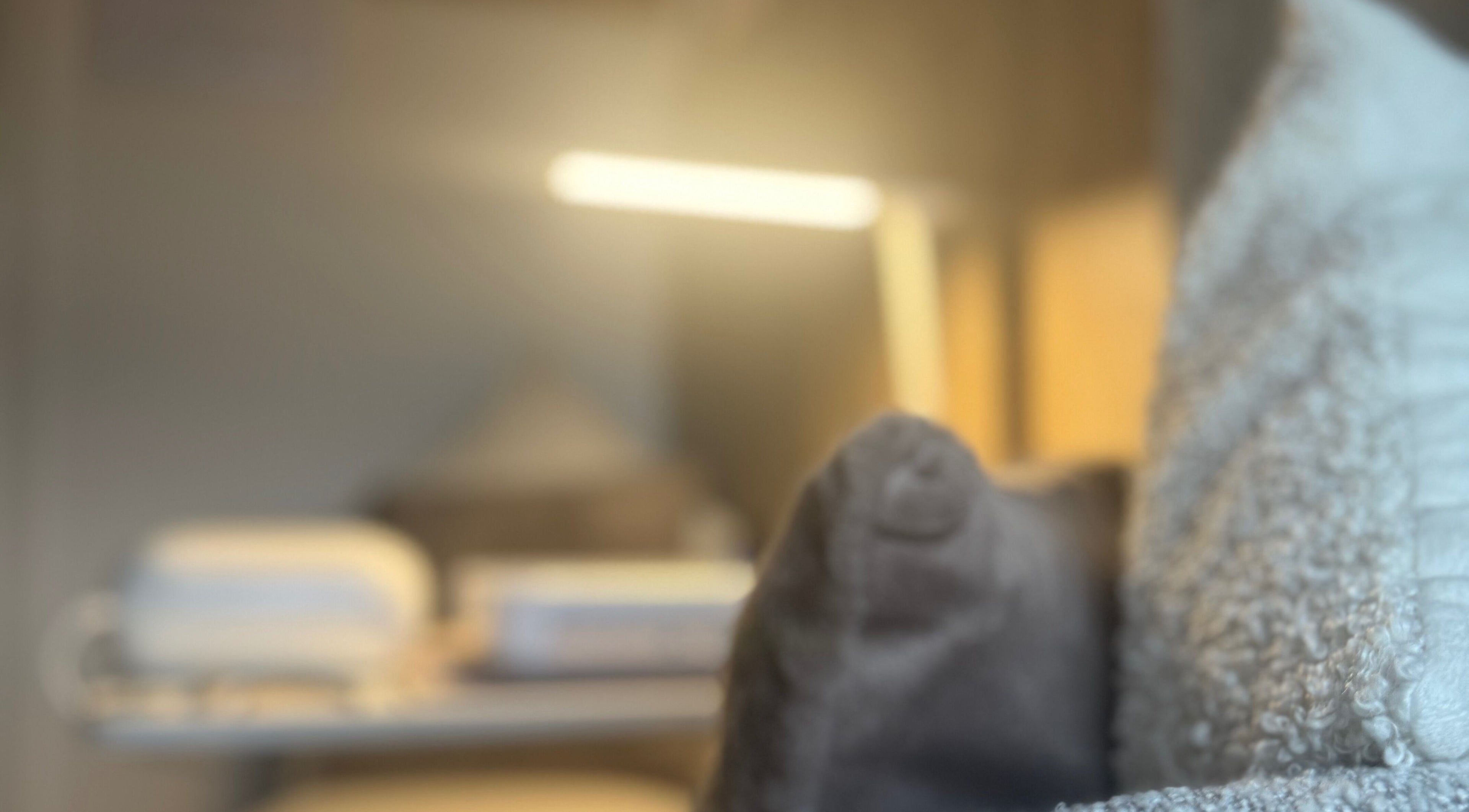 Relaxing interior at The Gloss Room MCR in Stockport, England, GB featuring soft lighting and plush textures.