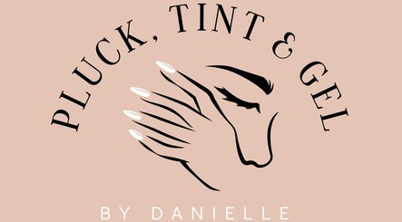 Logo of Pluck, Tint & Gel in North Wingfield, England, featuring a stylized face with artistic lines.