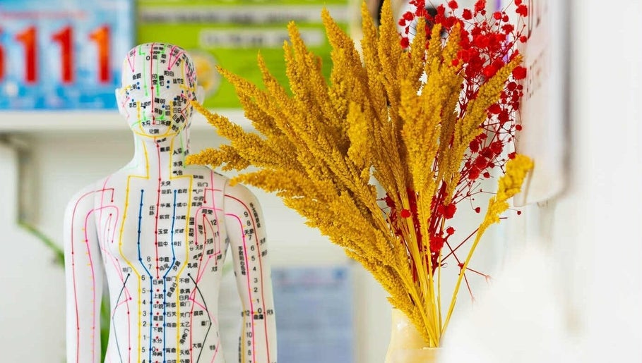 Holistic decor at Better Aesthetic and Wellness in San Mateo, Calabarzon, PH featuring a detailed anatomical model.