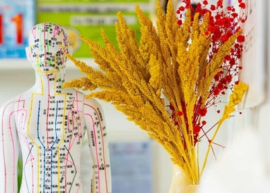 Holistic decor at Better Aesthetic and Wellness in San Mateo, Calabarzon, PH featuring a detailed anatomical model.