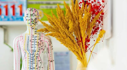 Holistic decor at Better Aesthetic and Wellness in San Mateo, Calabarzon, PH featuring a detailed anatomical model.