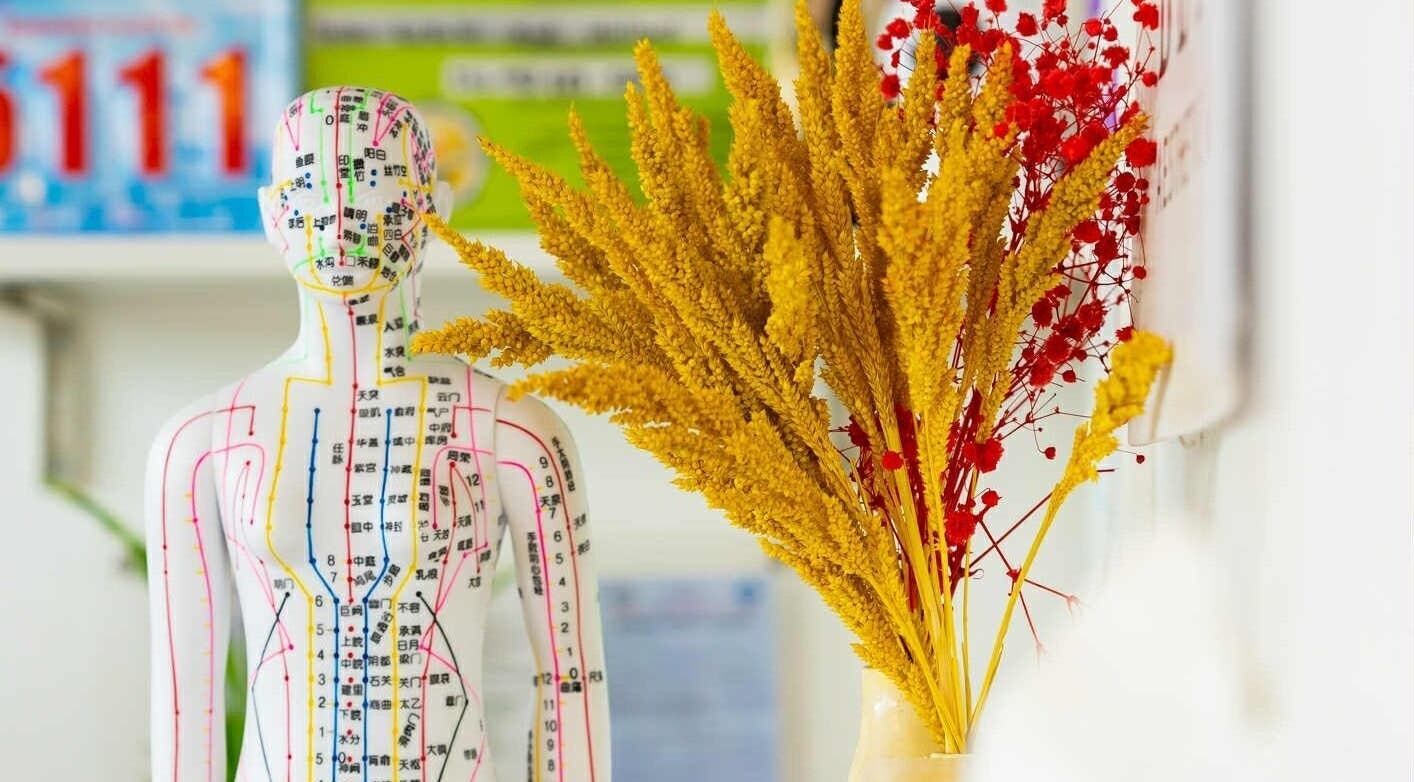 Holistic decor at Better Aesthetic and Wellness in San Mateo, Calabarzon, PH featuring a detailed anatomical model.