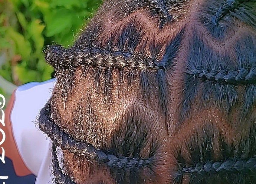 Intricate braids at Beauty by Nicole, Grange Hill, Westmoreland Parish, JM showcasing professional hair design.