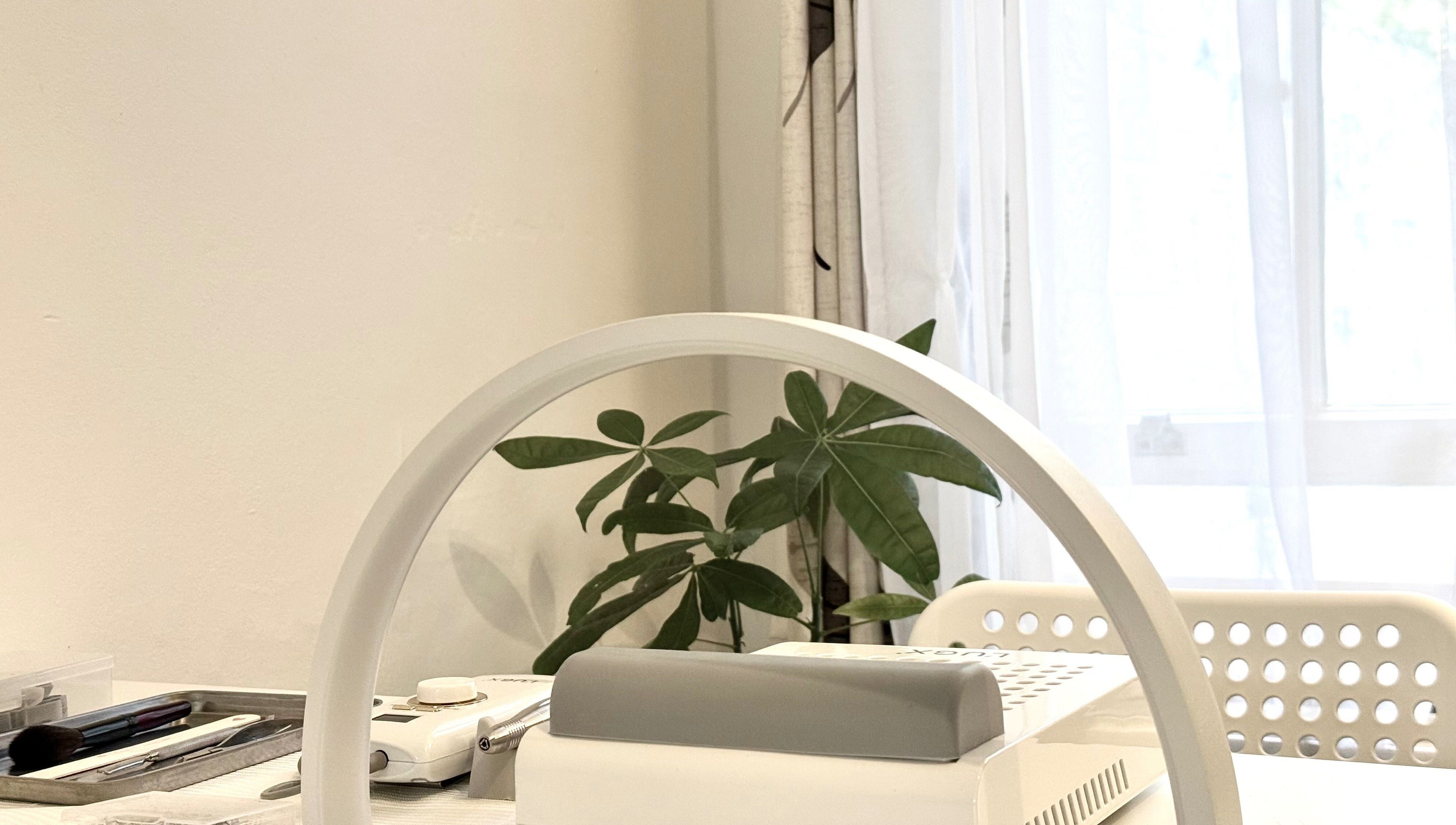 Tatabeautyhouse workspace in Canterbury, England, GB with tools and leafy plant.