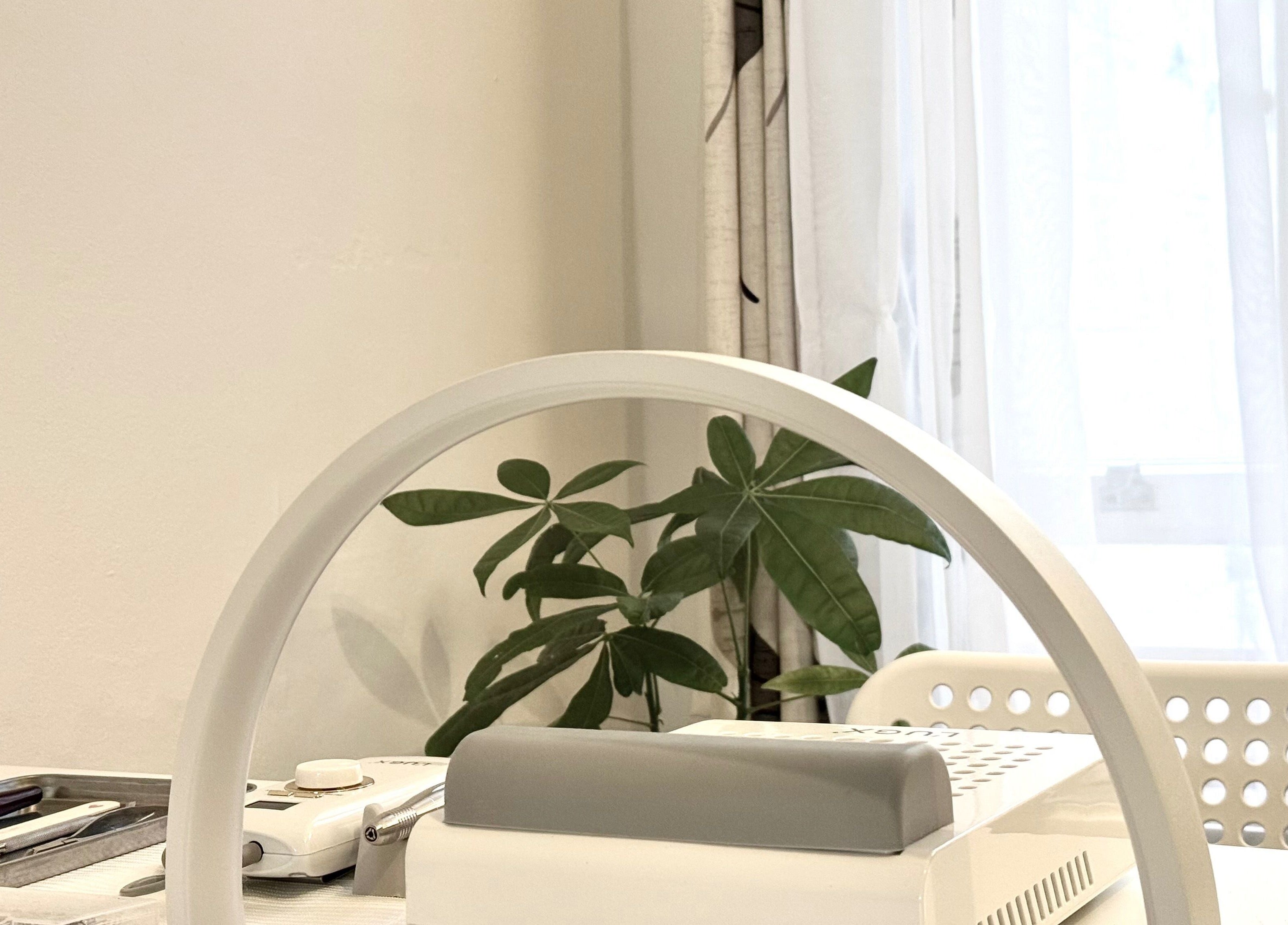 Tatabeautyhouse workspace in Canterbury, England, GB with tools and leafy plant.