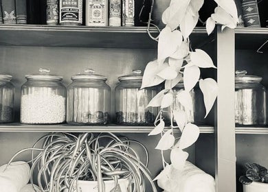 Herbal jars and plants at Soma Body Studio, Manchester, England, GB, offering a serene wellness environment.