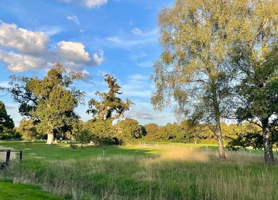 Tranquil meadow with trees at Louisa Sales Malia Organics, Christchurch, Hampshire, GB under a blue sky.