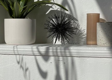 Decorative plants and decor on a shelf in Oakland Glow, Oakland, California, US, casting serene shadows.