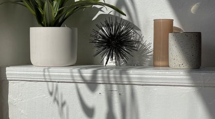 Decorative plants and decor on a shelf in Oakland Glow, Oakland, California, US, casting serene shadows.