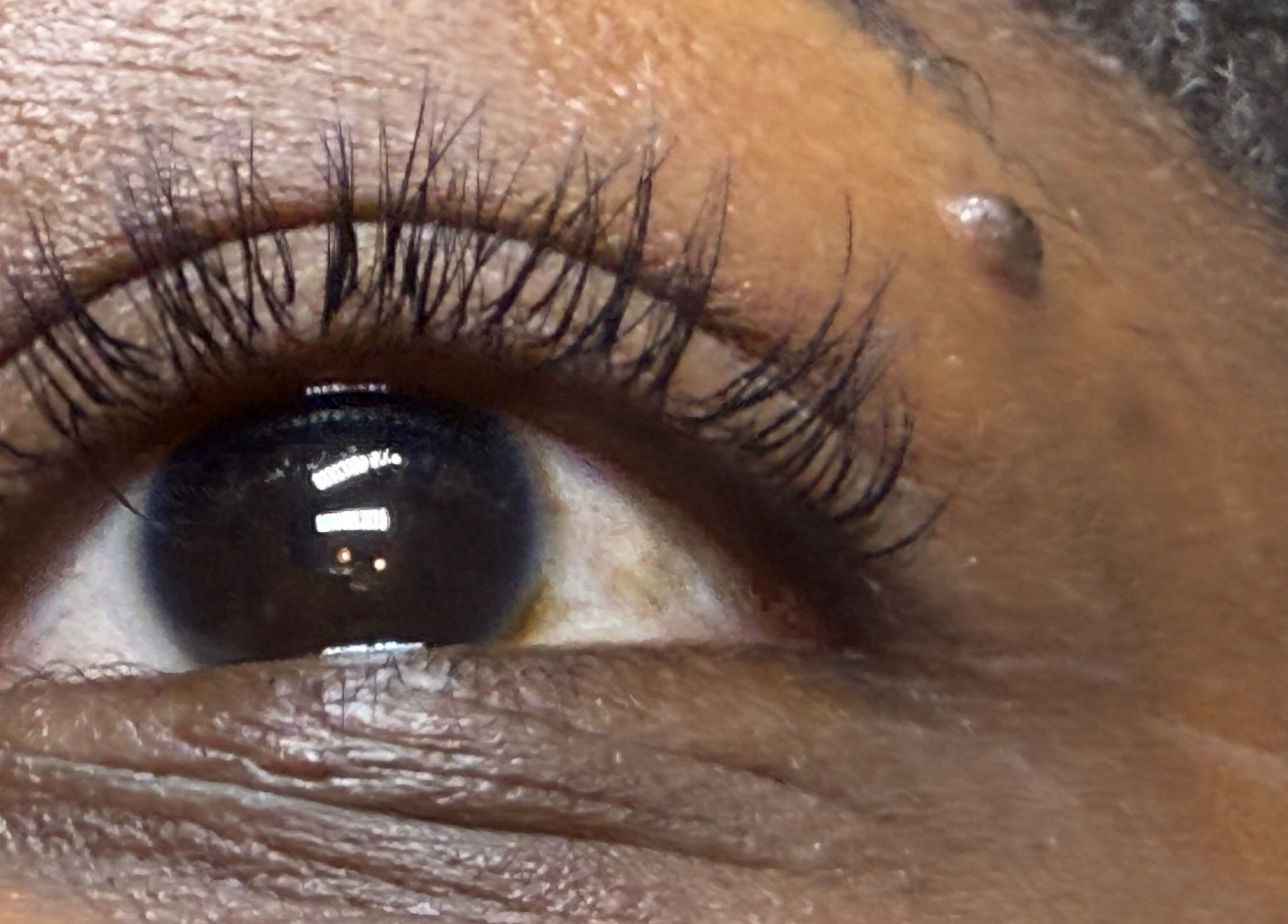 Closeup of elegant eyelashes at LashandBe, London, England, GB, showcasing beauty services.