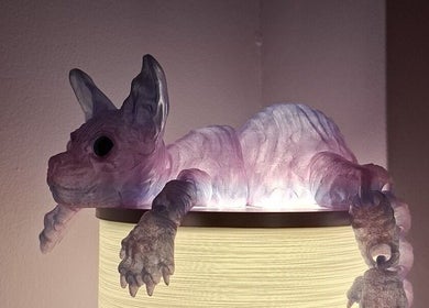 Unique dragon sculpture decor in Massage Facial By Sasha Viki, Glasgow, Scotland, GB.