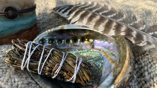 Arise Alight Healing Arts