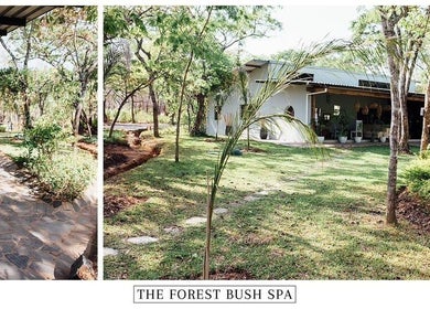 Lush green garden at The Forest Bush Spa Zambia in Lusaka, Lusaka Province, ZM offering tranquil relaxation.