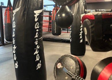 Boxing bags at Honor: Women's Online Fitness Coach gym in Worksop, England, GB.