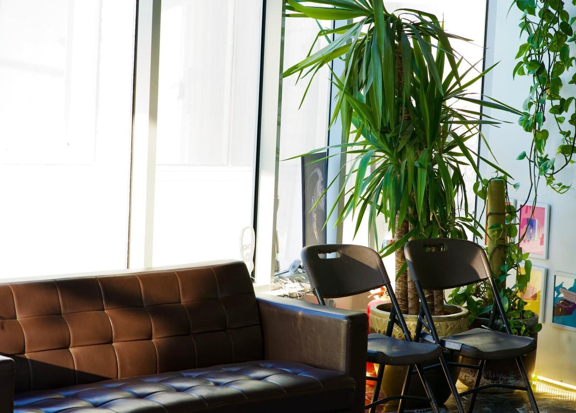 Cozy seating area with plants at Faded in الخبر, المنطقة الشرقية, SA, offering a serene ambiance.