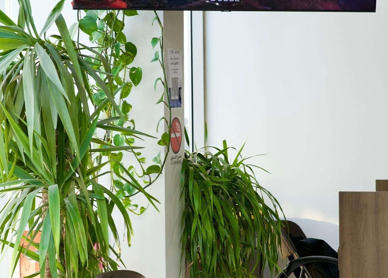 Stylish corner at Faded, الخبر, المنطقة الشرقية, SA, featuring lush green plants and modern decor.