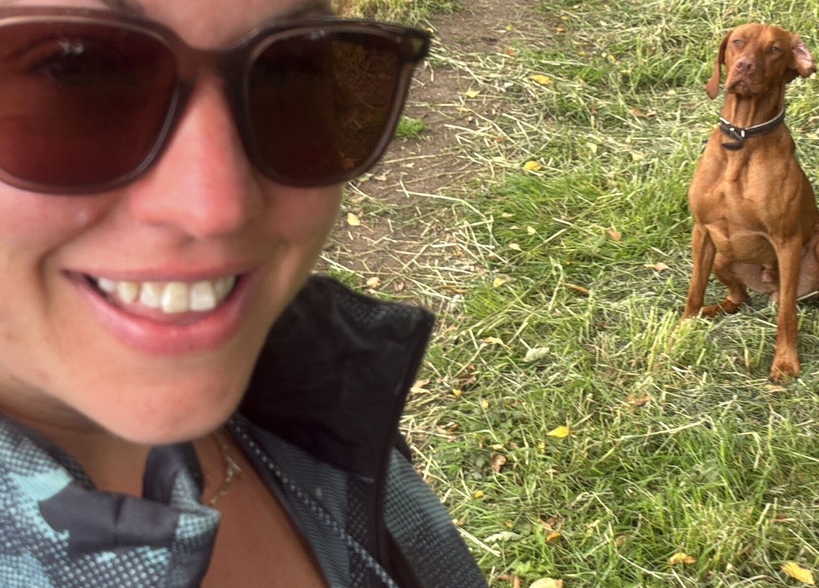 Relaxing moment at Keystone Counselling Beverley with a dog in Beverley, England, GB.