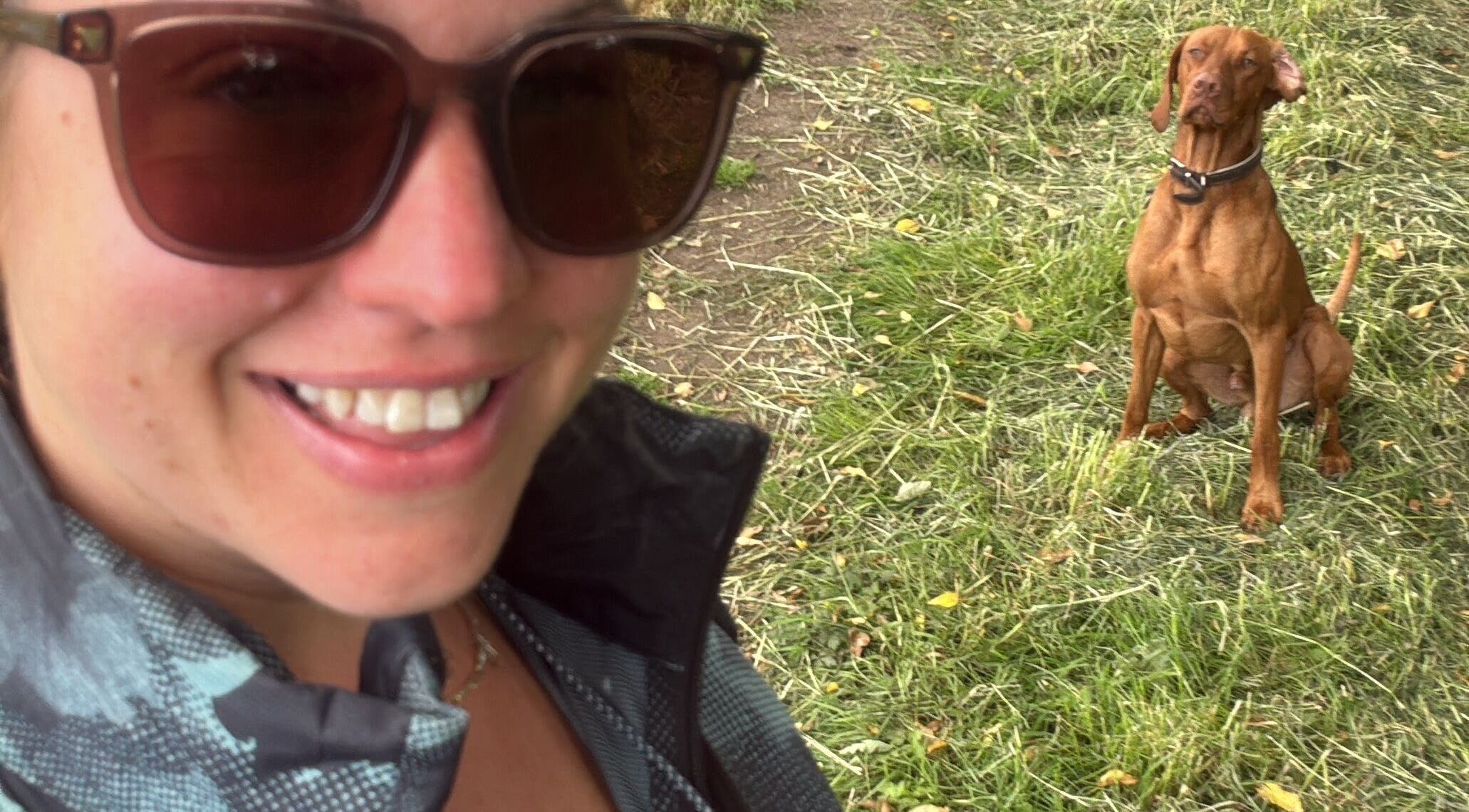 Relaxing moment at Keystone Counselling Beverley with a dog in Beverley, England, GB.