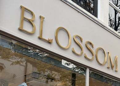 Blossom storefront with gold signage at Amy Nicole, Neath, Wales, GB.