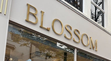 Blossom storefront with gold signage at Amy Nicole, Neath, Wales, GB.