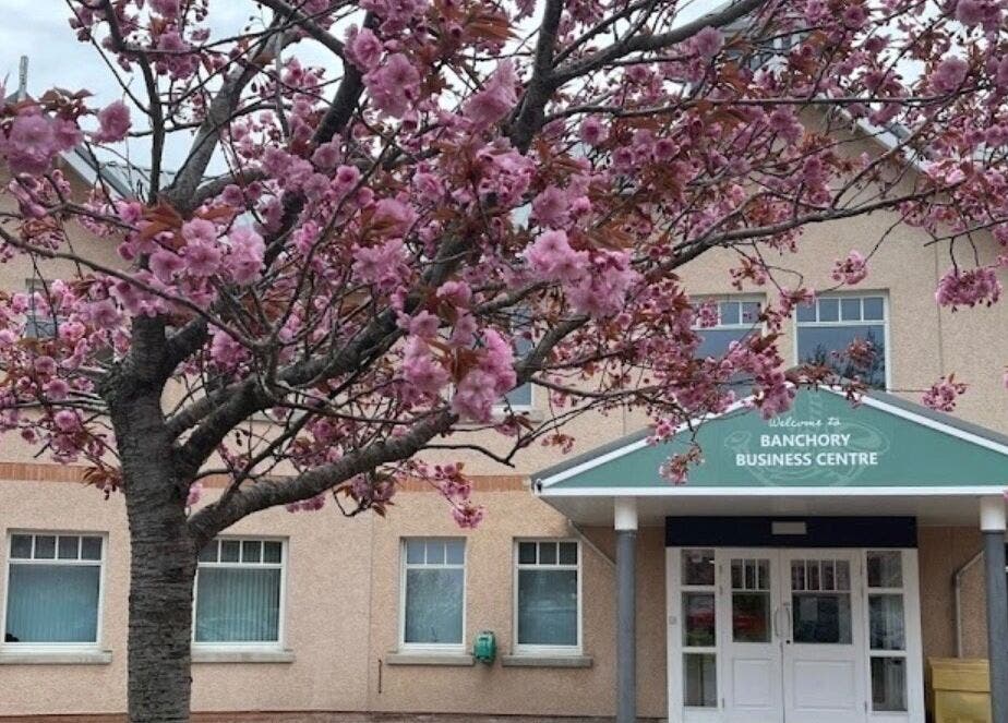 Cherry blossoms frame AmiCorsar-HairStylist at Banchory Business Centre, Banchory, Scotland, GB.