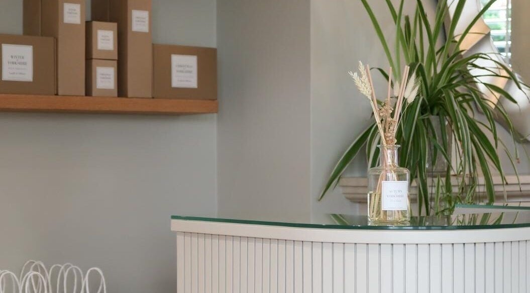 Reception at The Whole Body Method, Hull, England, GB with a calming plant and decorative elements.
