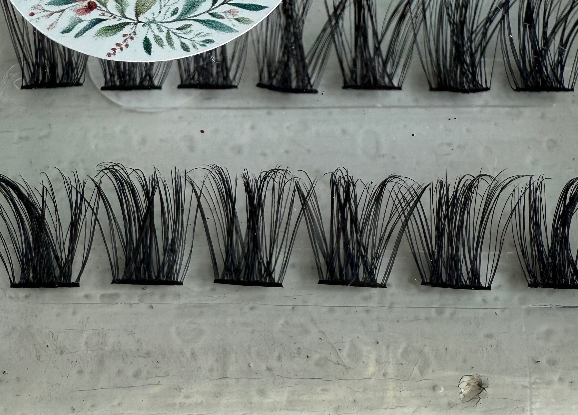 Cluster lash extensions from Sei Bello in Gqeberha, Eastern Cape, ZA, showcasing intricate lash detail.