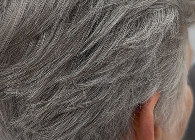 Close-up of elegant silver hair at Glamourhair, London, England, GB.