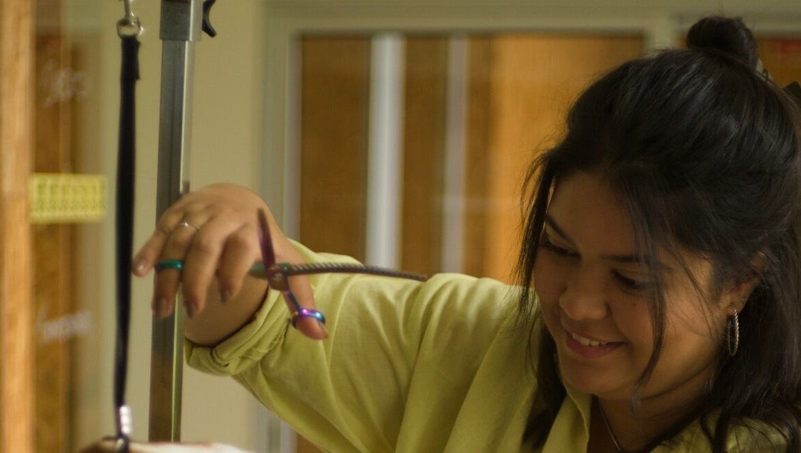 Profissional cuidando de um pet em Animania - Estética Pet, Viana Do Castelo, Viana Do Castelo, PT.