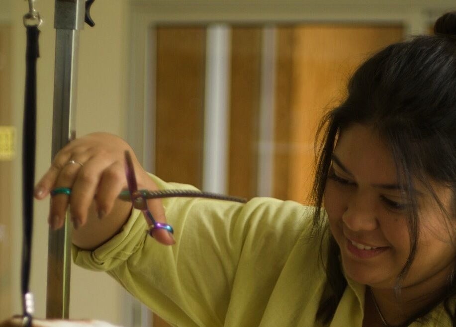 Profissional cuidando de um pet em Animania - Estética Pet, Viana Do Castelo, Viana Do Castelo, PT.