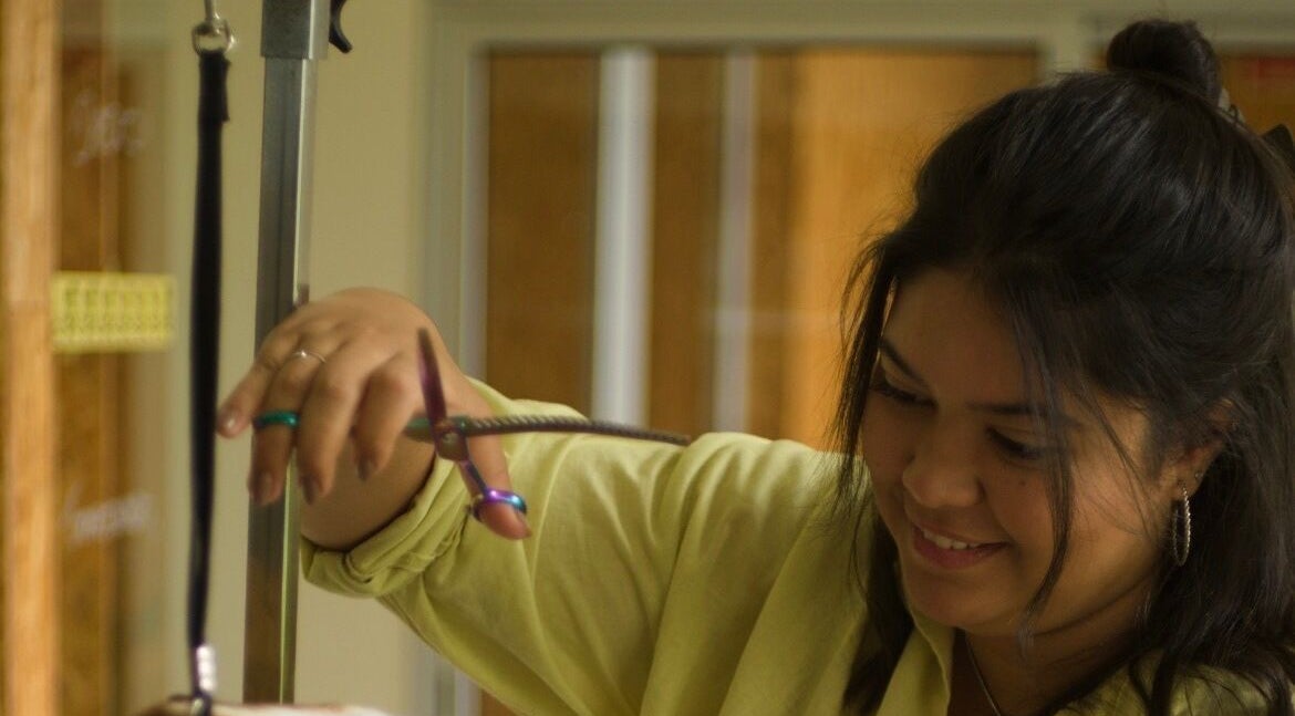 Profissional cuidando de um pet em Animania - Estética Pet, Viana Do Castelo, Viana Do Castelo, PT.