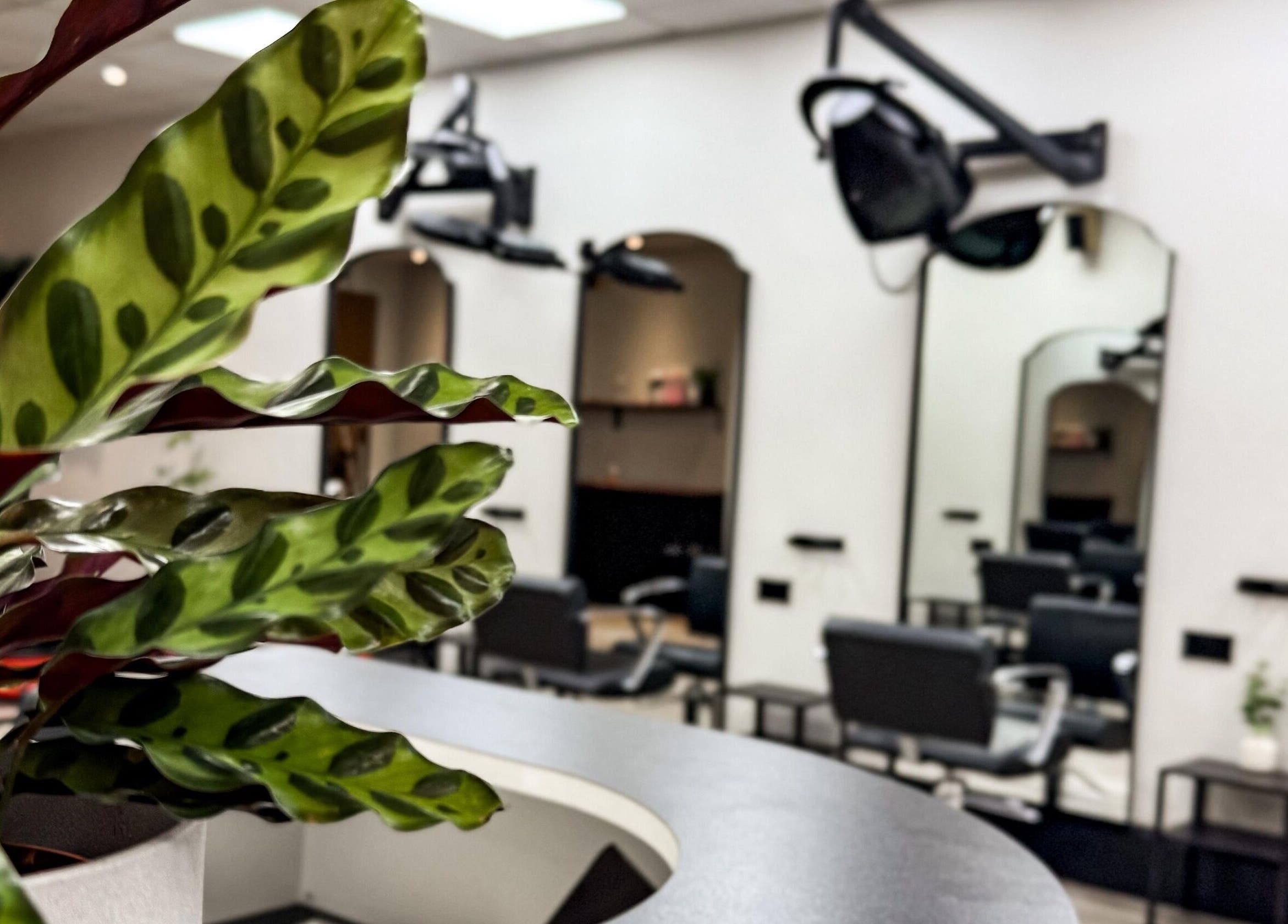 Modern interior of LJ Hairdressing in Cowplain, England with plant and styling chairs.
