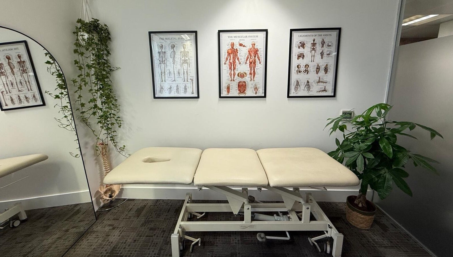 Therapy room at The Body Formulae in London, England, GB with massage table, anatomical charts, and plants.