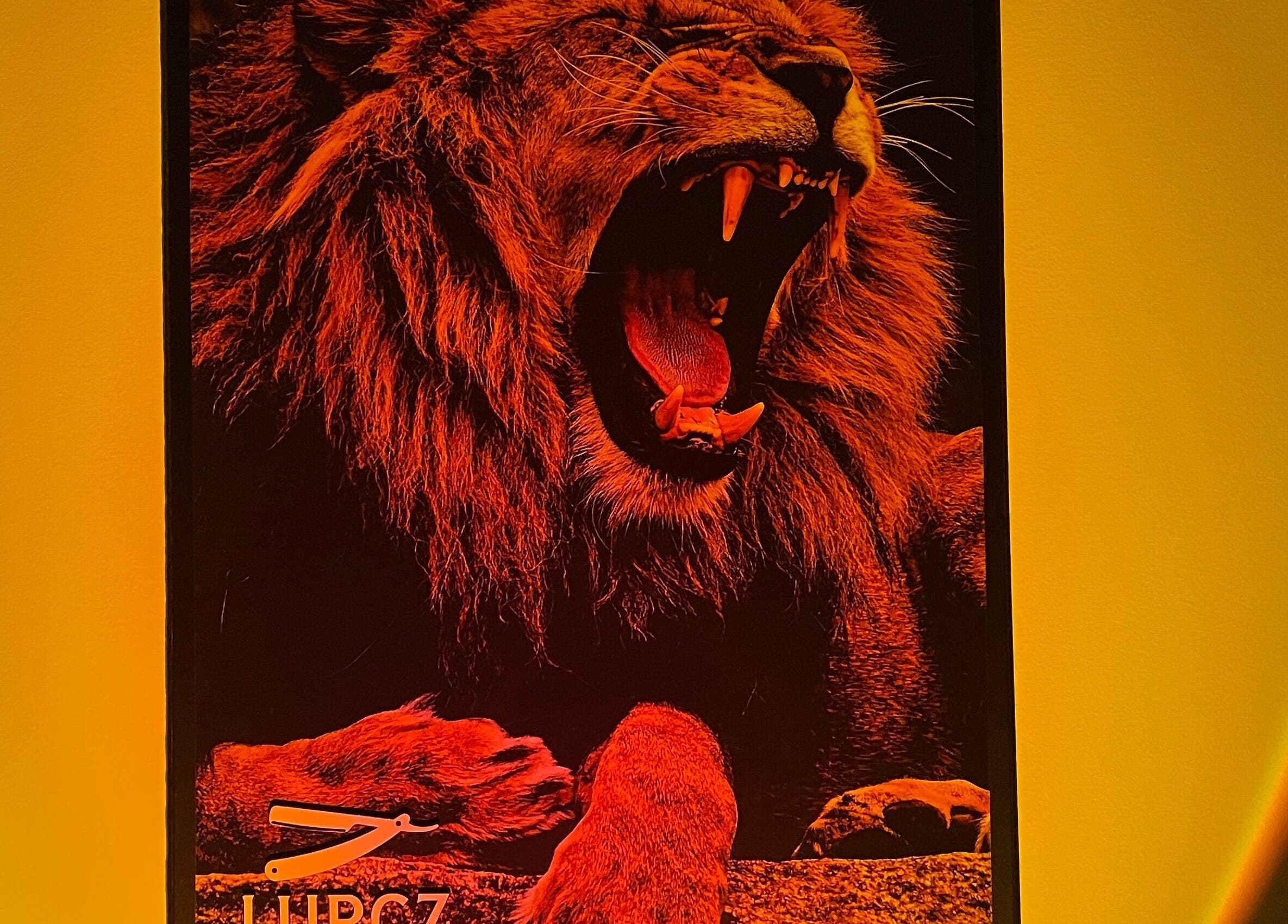 Pôster de leão rugindo no interior da LurczBarber, Rio Grande Do Sul, Rio Grande Do Sul, BR.