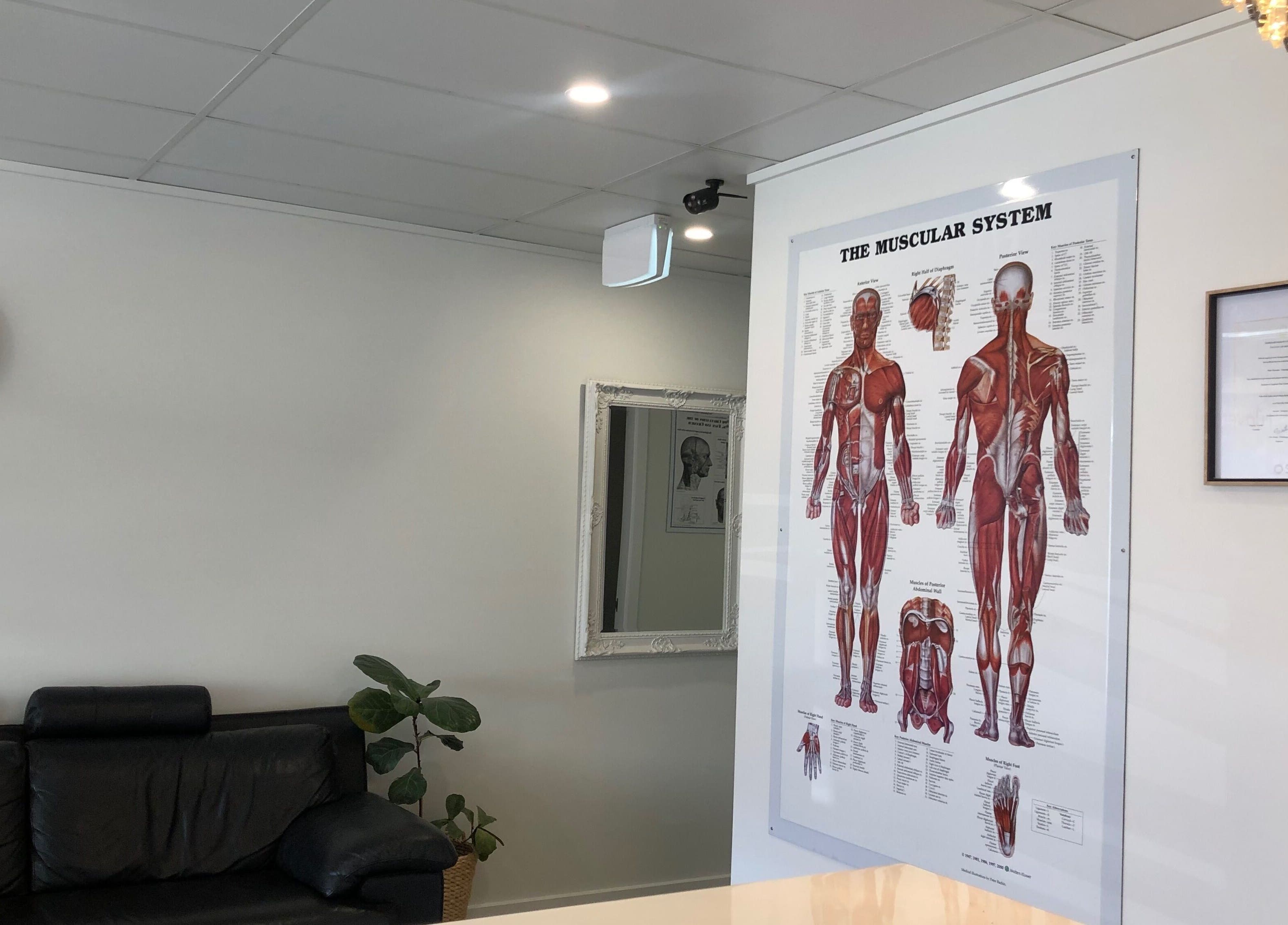 Relaxing reception area at Senses Wellness Inverell, Inverell, New South Wales, AU, featuring a muscular system poster.