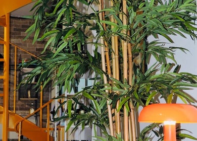 Μπαμπού διακόσμηση στο Loft st75, Ηράκλειο, Κρήτης , GR.