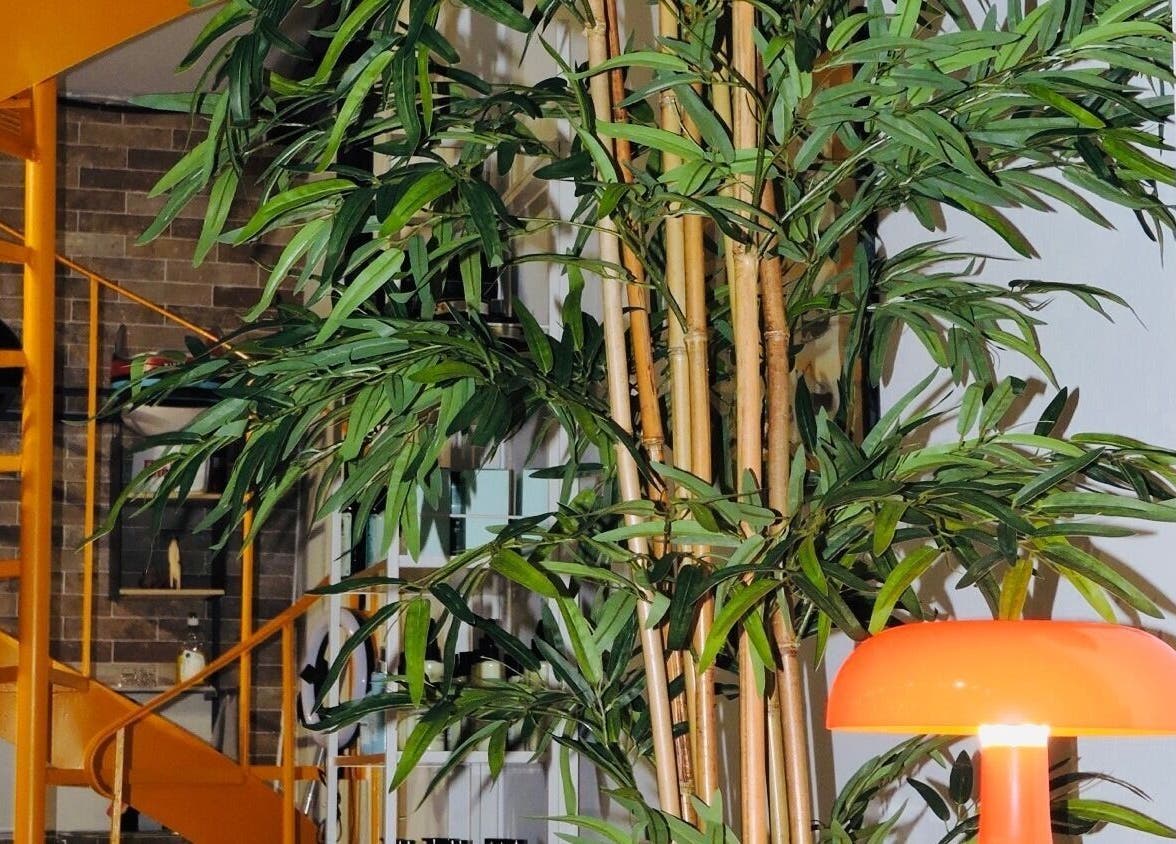 Σπείρα σκάλα και φυτά στο Loft st75, Ηράκλειο, Κρήτης, GR. Ζεστός φωτισμός με πορτοκαλί λάμπα.