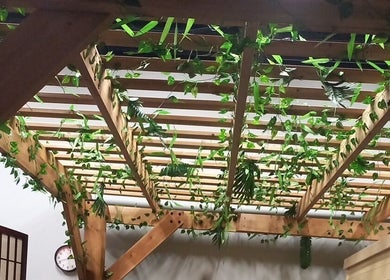 Techo decorado con plantas colgantes en Aideeestheticcare, Round Lake Beach, Illinois, US.