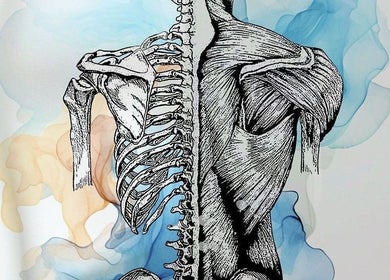 Intricate anatomy illustration at Dynamic Muscle Recovery in Cape Town, Western Cape, ZA.