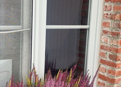 Raam met paarse bloemen bij Schoonheidsinstituut Amaris, Izegem, Vlaanderen, BE, omgeven door bakstenen muur.