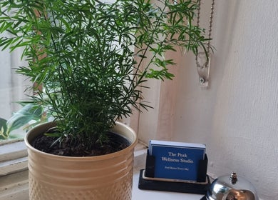 Potted plant beside booking bell at The Peak Wellness Studio, Dublin, County Dublin, IE.