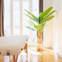Sayo - Massage & Beauty