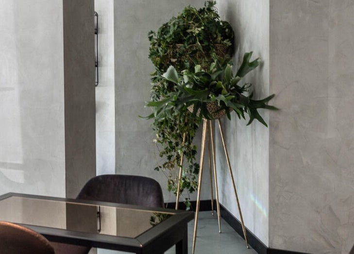 Stijlvolle plantenhoek bij IT'S A BEAUTY AFFAIR, Amsterdam, Noord-Holland, NL met moderne tafels.