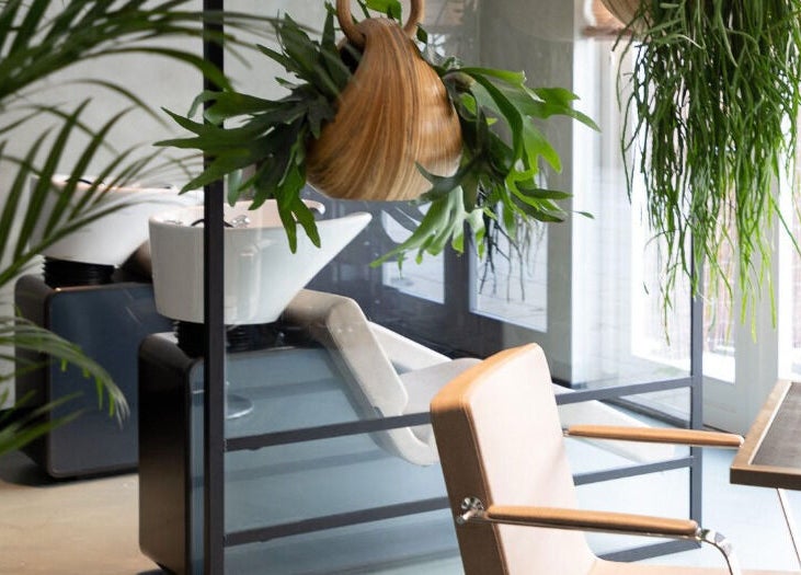 Moderne, stijlvolle salon bij IT'S A BEAUTY AFFAIR in Amsterdam, Noord-Holland, NL met weelderige planten.