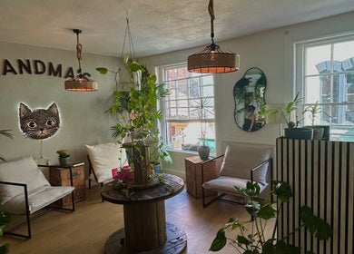 Charming seating area with plants at Ava Franklin Beauty Studios, Norwich, England, GB. Stylish decor and comfy chairs.