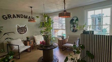 Charming seating area with plants at Ava Franklin Beauty Studios, Norwich, England, GB. Stylish decor and comfy chairs.