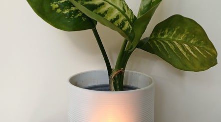 Peaceful plant decor at MaxRelax Massage Therapy, London, England, GB enhancing calm atmosphere.