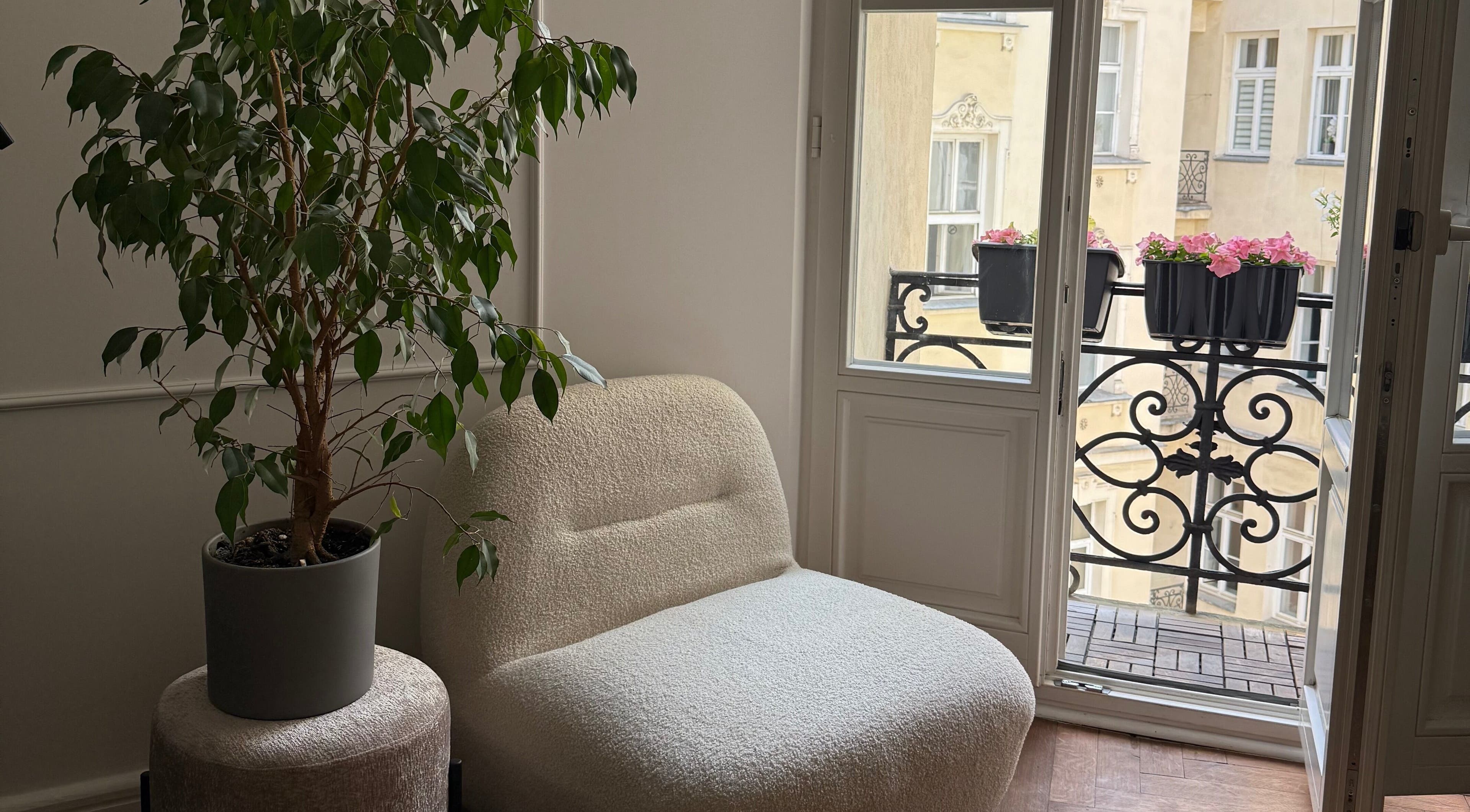 Przytulny kącik w 7Heaven Lashes and Brows, Warszawa, Województwo Mazowieckie, PL z rośliną i fotelem.