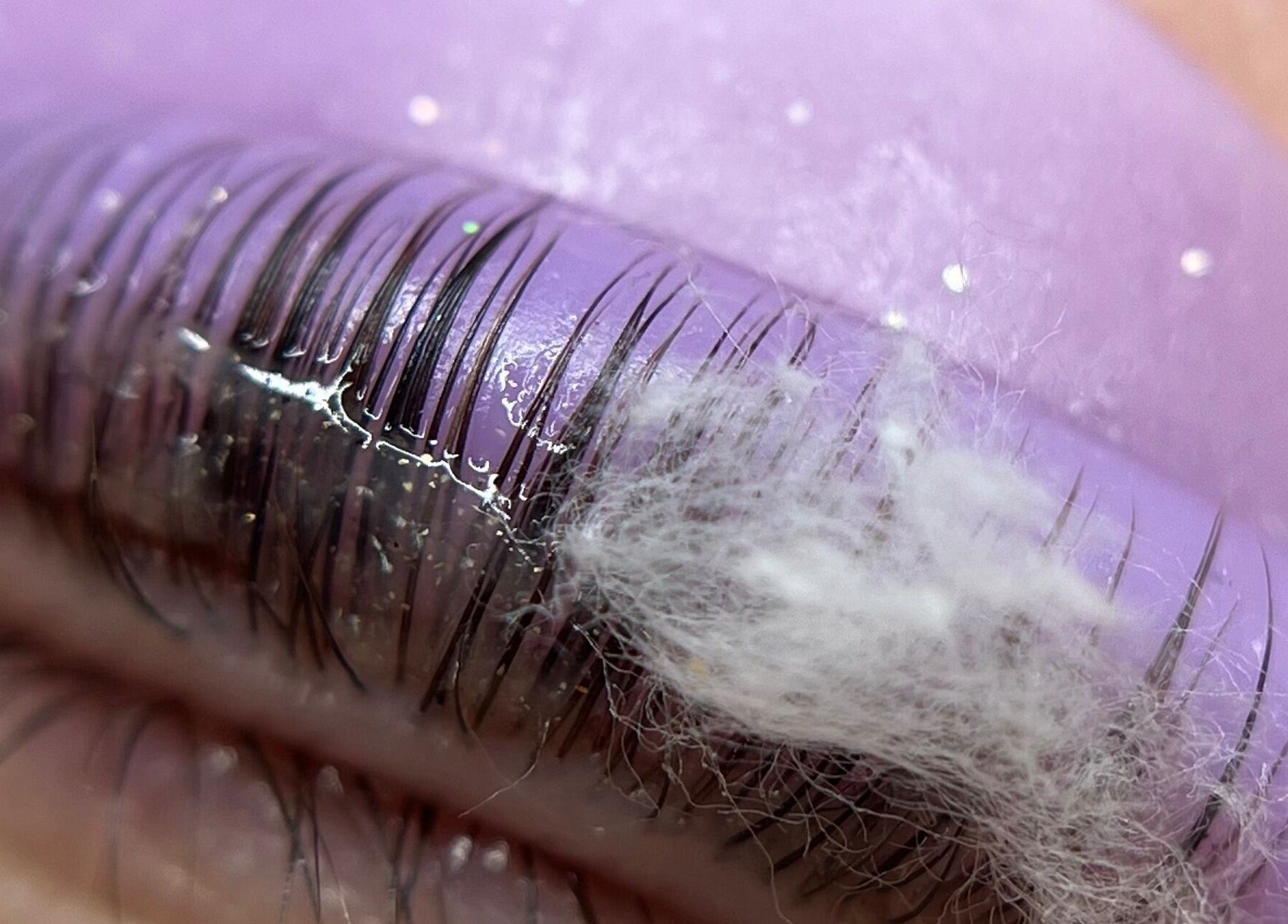 Close-up of lash extensions at Valeria’s BEAUTY LAB, Badalona, Catalunya, ES in stunning purple tones.