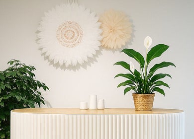 Elegant interior at Ame Beauty Room Sdn Bhd, Kuala Lumpur, Wilayah Persekutuan Kuala Lumpur, MY with plants and decor.
